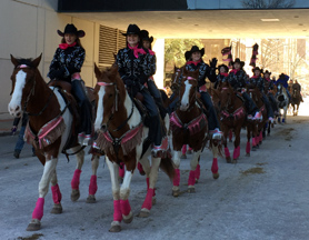 Fort Worth Stock Show Parade 2018 | Woodhaven Wranglers